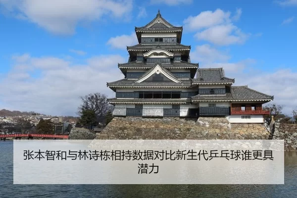 张本智和与林诗栋相持数据对比新生代乒乓球谁更具潜力